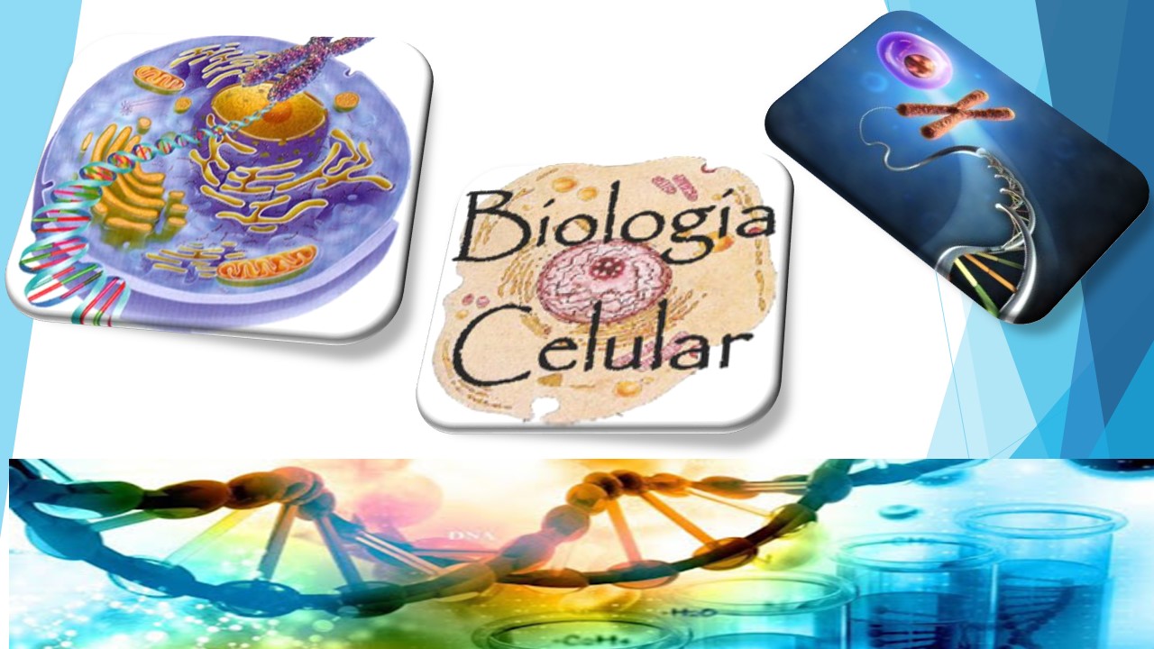  Biología Celular