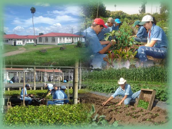 Formulación y Evaluación Financiera de Proyectos Agrícolas