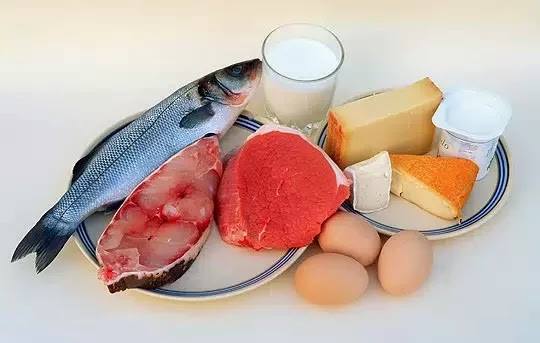 Ciencia y Tecnología de Alimentos Pecuarios Ene - jun 2025